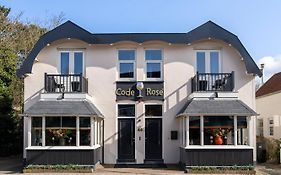 Boutique Pension Code Rose